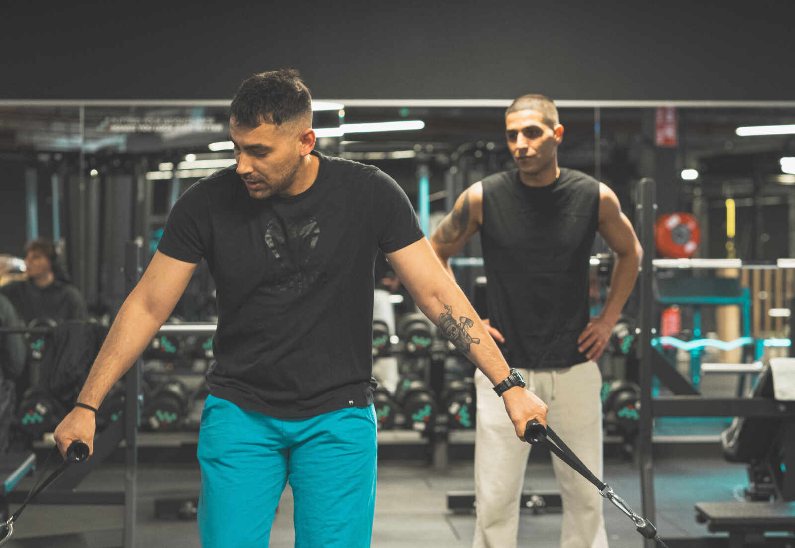 Scheepsdale Web 08530