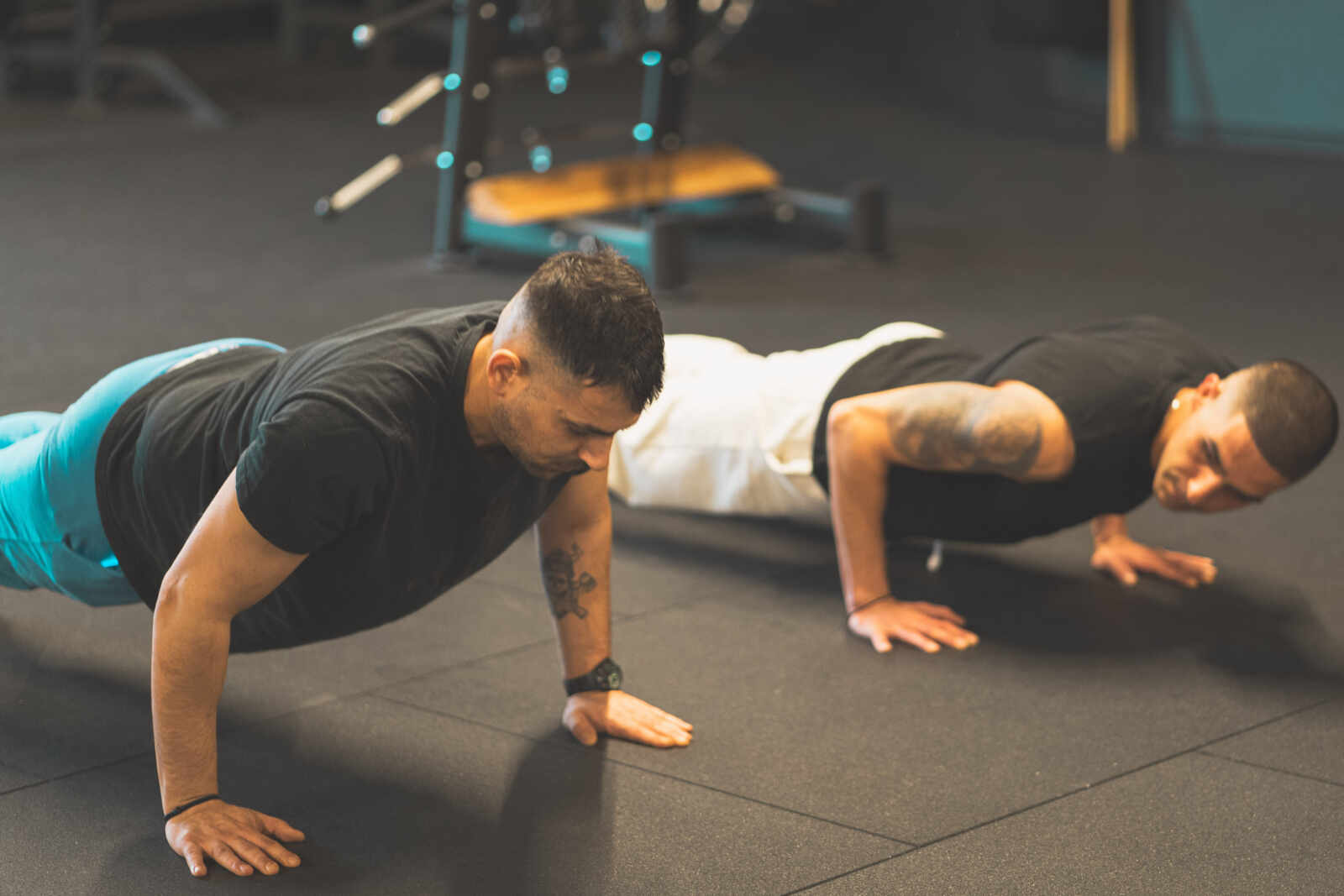 Scheepsdale Web 08546